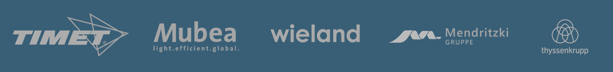 1200px Wieland logo.svg copia 3 - NEO20，钟形炉用自动吊钩